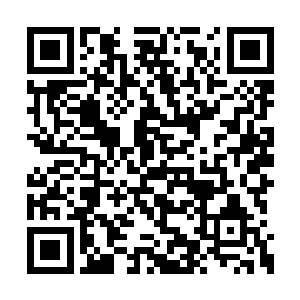 刚刚范籍正正是踩到了这一滩东西才一下子滑倒二维码生成