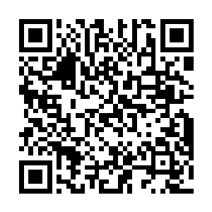 刚刚获得了松江省百科知识大赛的团体冠军和个人冠军二维码生成