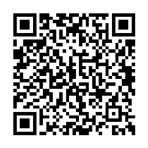 刚刚萌生的一点感情的火焰在这一刻被迅速掐灭二维码生成