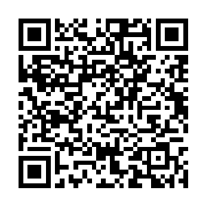 刚刚落在地上的智信只觉得原本刚吐出一口血之后二维码生成