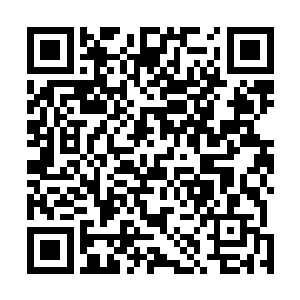 刚刚融合混沌圣龙的精血竟然就接着融合混沌祖凤的精血二维码生成