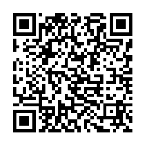 刚刚被白如玉英俊容貌打击到的众年轻男子立刻上前二维码生成