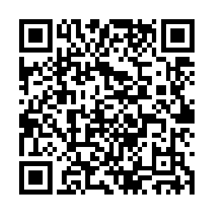 刚刚被盗贼的动作惊出一身冷汗的马文后退了半步二维码生成