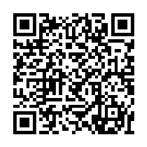 刚刚走进来的秦纵横也看到了秦洛他们这一桌子二维码生成