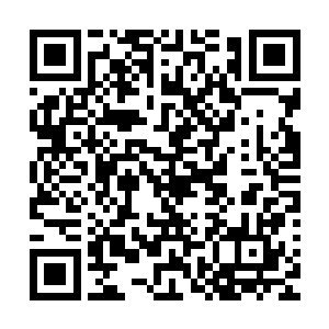 刚刚赵怡可是注意到了叶秋带着离开的人里面没有白面和楚阳二维码生成