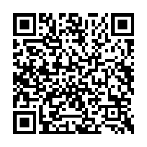 刚刚赵福宝是和古董玉石收藏界三大泰斗在一起二维码生成