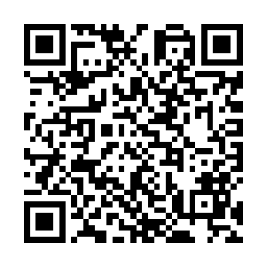 刚刚赶回来的血卫一个个凶神恶煞地瞪视着自己的兄弟二维码生成