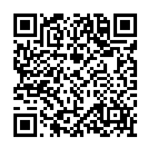 刚刚还仿佛失去抵抗的上古火凤凰直接冲天而起二维码生成