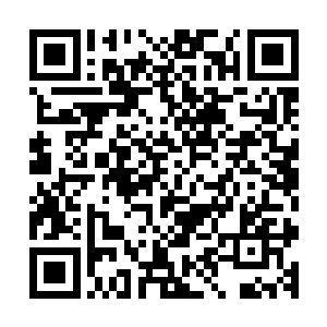 刚刚还凶相毕露的毒蛇瞬间就如同被狮子咬住脖子的羔羊一样二维码生成