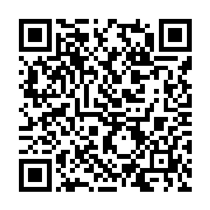 刚刚还各种吐槽不断的大厅瞬间就安静了下来……二维码生成