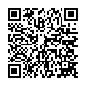 刚刚还想过来救人的楼兰庭跟白锦那个表情啊~~呵呵了~~二维码生成