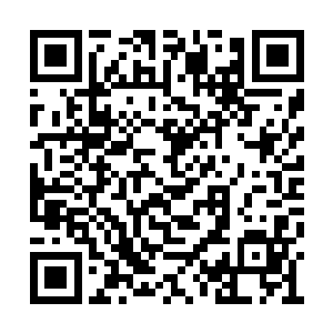 刚刚还熙熙攘攘吵吵闹闹如同菜市场一样的院子二维码生成