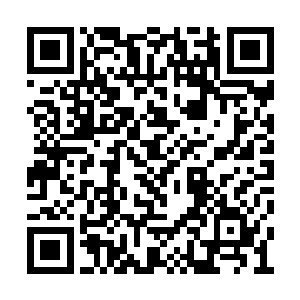 刚刚还被压着打的梅画屏竟已是反手控制了局势二维码生成