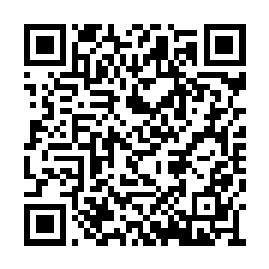 刚刚还觉得自己是这个虚无世界中最独特的生命二维码生成