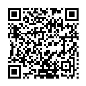 刚刚还阴柔无比的铁血战气这个时候已经转为了霸道与狠辣二维码生成