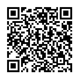 刚刚进入到贴吧的小坑就发现了一些不同以往的事情二维码生成