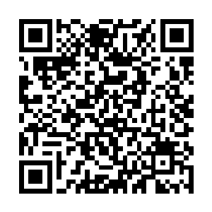 刚刚进入特种部队的第一个月就要被淘汰掉了事实上二维码生成