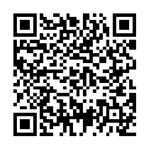 刚刚那一声巨响不用想肯定是他不小心触动了某个机关二维码生成