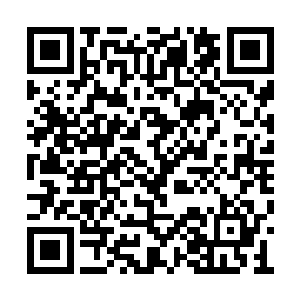 刚刚那三个食脑虫的精神冲击不仅没有影响到他二维码生成