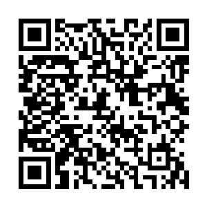 刚刚那个云仙宗的首席弟子可是说了一个非常庞大的数字的二维码生成