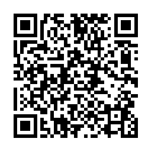 刚刚那个表现最高兴的长老一巴掌拍在了他面前的桌子上二维码生成