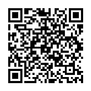 刚刚那个躲进树洞里的小游侠再次出现在了世界树的枝桠上二维码生成