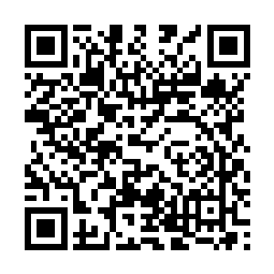 刚刚那人说过了这荒原只要再走十数里路程就能赶到港口二维码生成