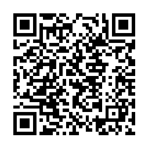 刚刚那位牛气冲天的五品同知大人就掏出来过一次二维码生成