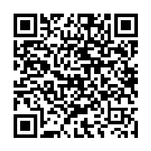 刚刚黑暗的空间仿佛是一场梦境中才能看见的奇景二维码生成