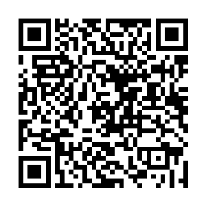 刚好你那个君钰表姐没有参与到你们剿灭叶狂风的战斗二维码生成