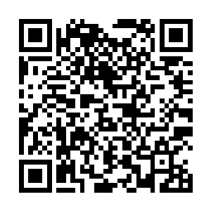 刚好将自己的心脏位置移动到飞剑之前所要命中的位置二维码生成