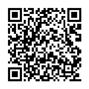 刚好就可以看到自家爷爷和洪山院长对堆在那里二维码生成