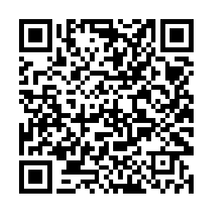 刚好看到秦宇领着他们同伴走进出殡队伍中的那一幕二维码生成