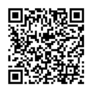 刚好能看到美女老板收回那只被肉色丝袜包裹得很光滑靓丽的二维码生成