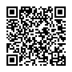 刚好被通知完下人急匆匆跑进来齐浩然看见和听见二维码生成