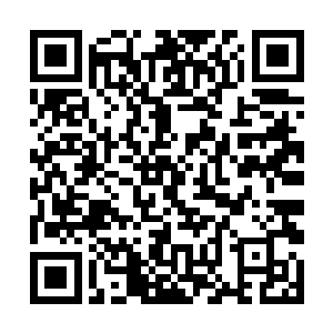 刚好视线对上正伴在姚氏身边往她这里看过来的忘川二维码生成