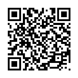 刚好远方便有一片一望无际的古老森林二维码生成