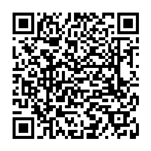 刚好那一下去蹲坑了……所以才没抓住那个女老师……今天一定一定……二维码生成