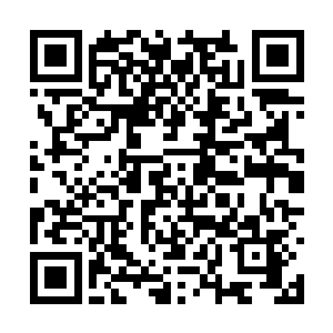 刚开始夹缝监狱的副狱主还带人斩杀这些逃跑的人二维码生成