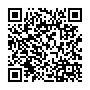 刚开始的时候是他和那对孪生姐妹花一起过来的对吧二维码生成