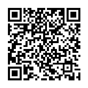 刚想硬着头皮穿过人墙的王铜炉立马给身前那女子指着鼻子二维码生成