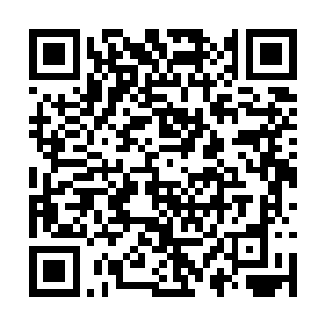 刚想说一下自己关于将武术打造成为杜平城市名片二维码生成