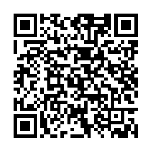 刚想说话就见到杨洛在上衣兜拿出警衔递给韦明宏二维码生成