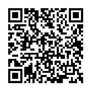 刚我进韩服英雄联盟官网查询了一下主播的战绩二维码生成