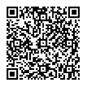刚才一路上遇到的那些高手的数量几乎已经过了神之大6任何一个圣地的高手的数量二维码生成