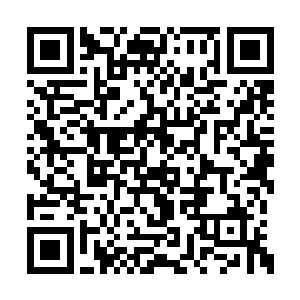 刚才不是一眼就看出咱们中实力低的人了吗……二维码生成