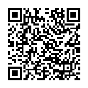 刚才与莫多硬拼了一记让他深刻地认识到自己与对手之间的差距二维码生成