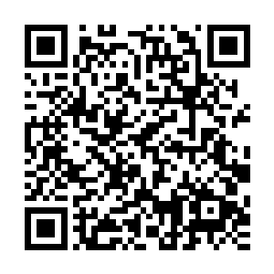 刚才为了打破李大护法的心理防线才会强忍着疼痛捏碎了杯子二维码生成