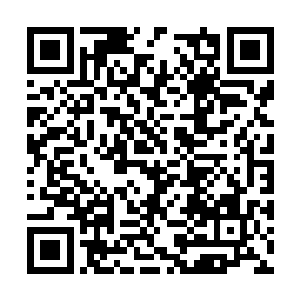 刚才为什么要等到它吸收完天地灵气再进行采摘呢二维码生成