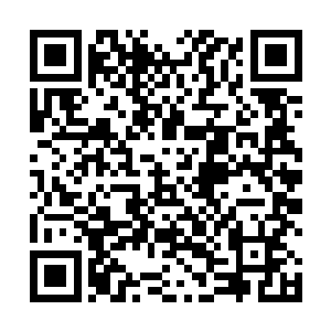 刚才二人比斗所表现的水准之高已经出乎华夏九的预料二维码生成